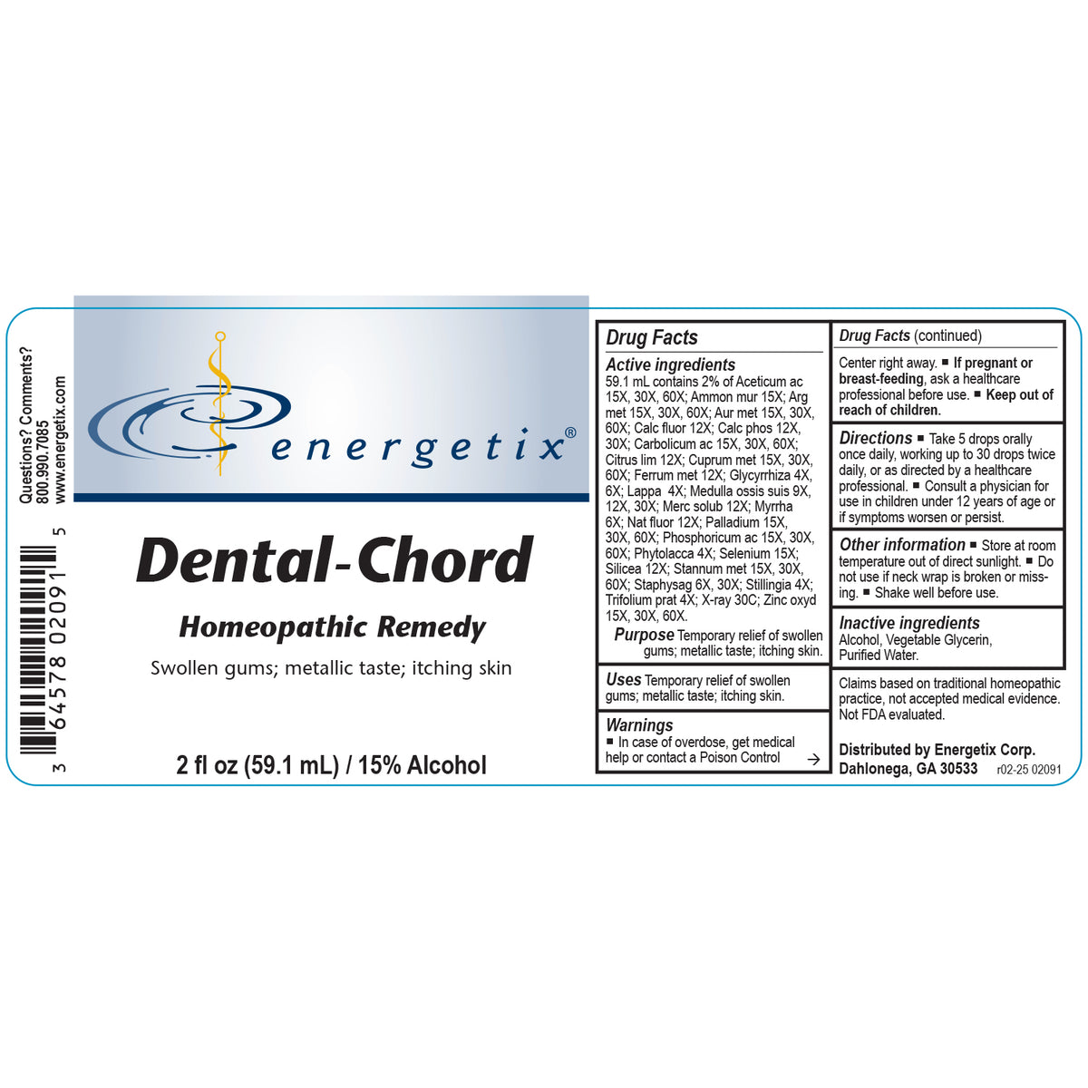 Dental-Chord