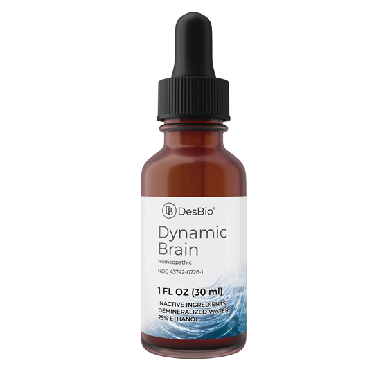 Dynamic Brain