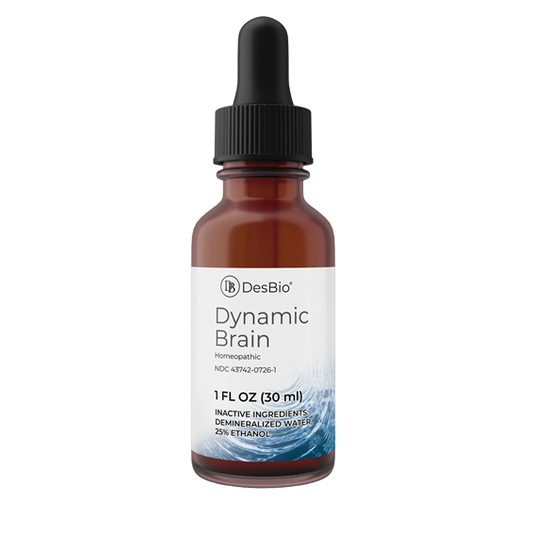 Dynamic Brain