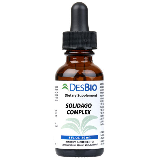 Solidago